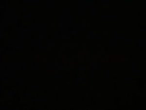 Meet your Posher, Saul